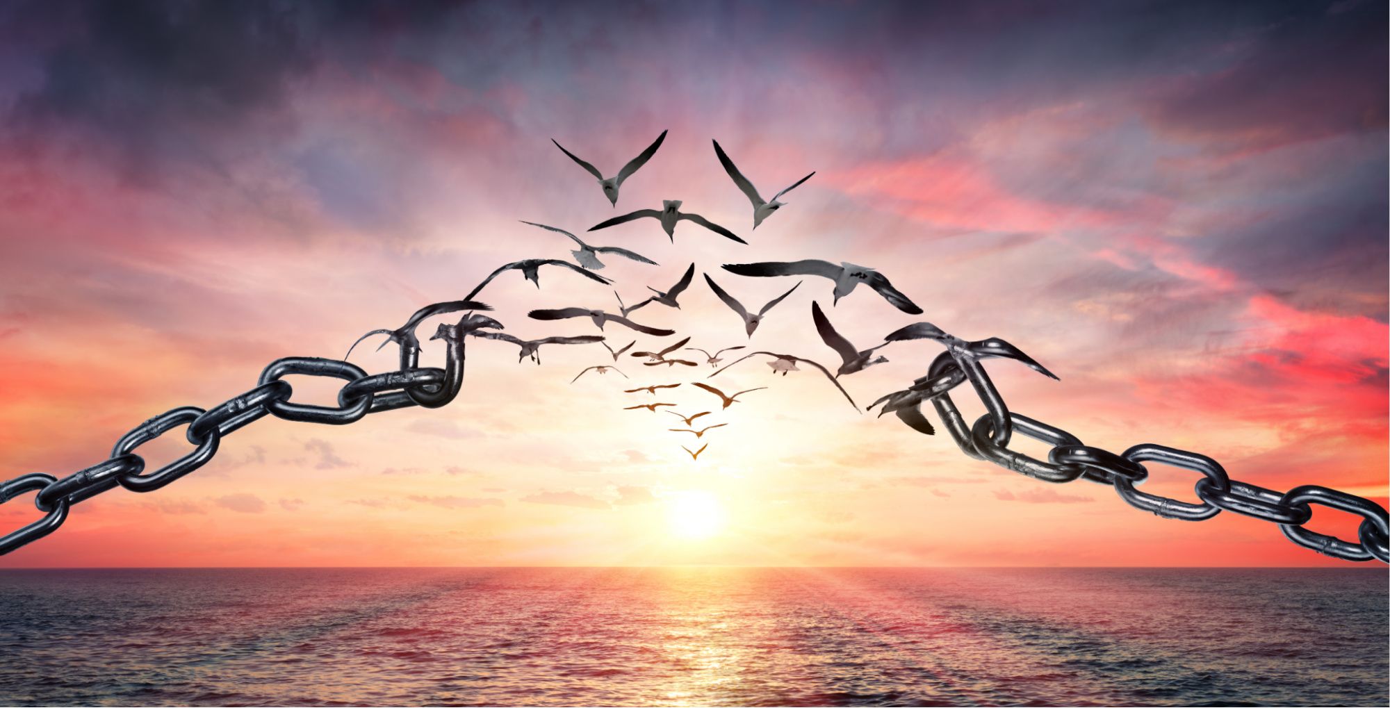 Free to Thrive