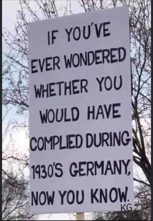 If You’ve Ever Wondered Whether You Would Have Complied During 1930’s Germany