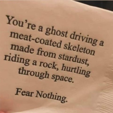 Fear Nothing