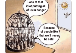 Look at that idiot putting all of us in danger