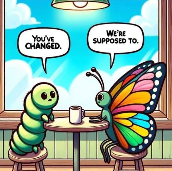 You’ve changed