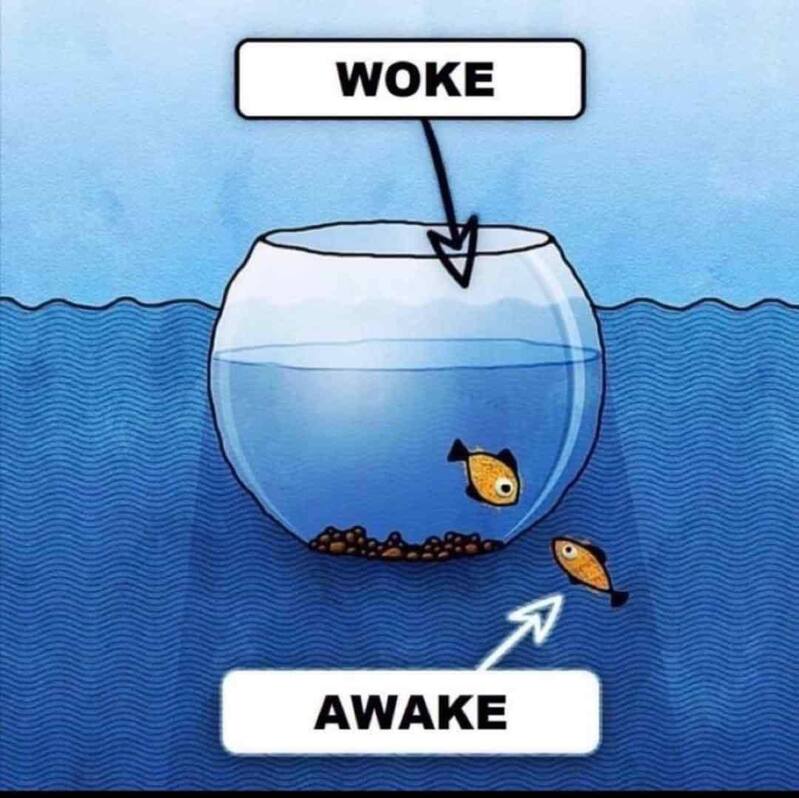 Woke vs. Awake