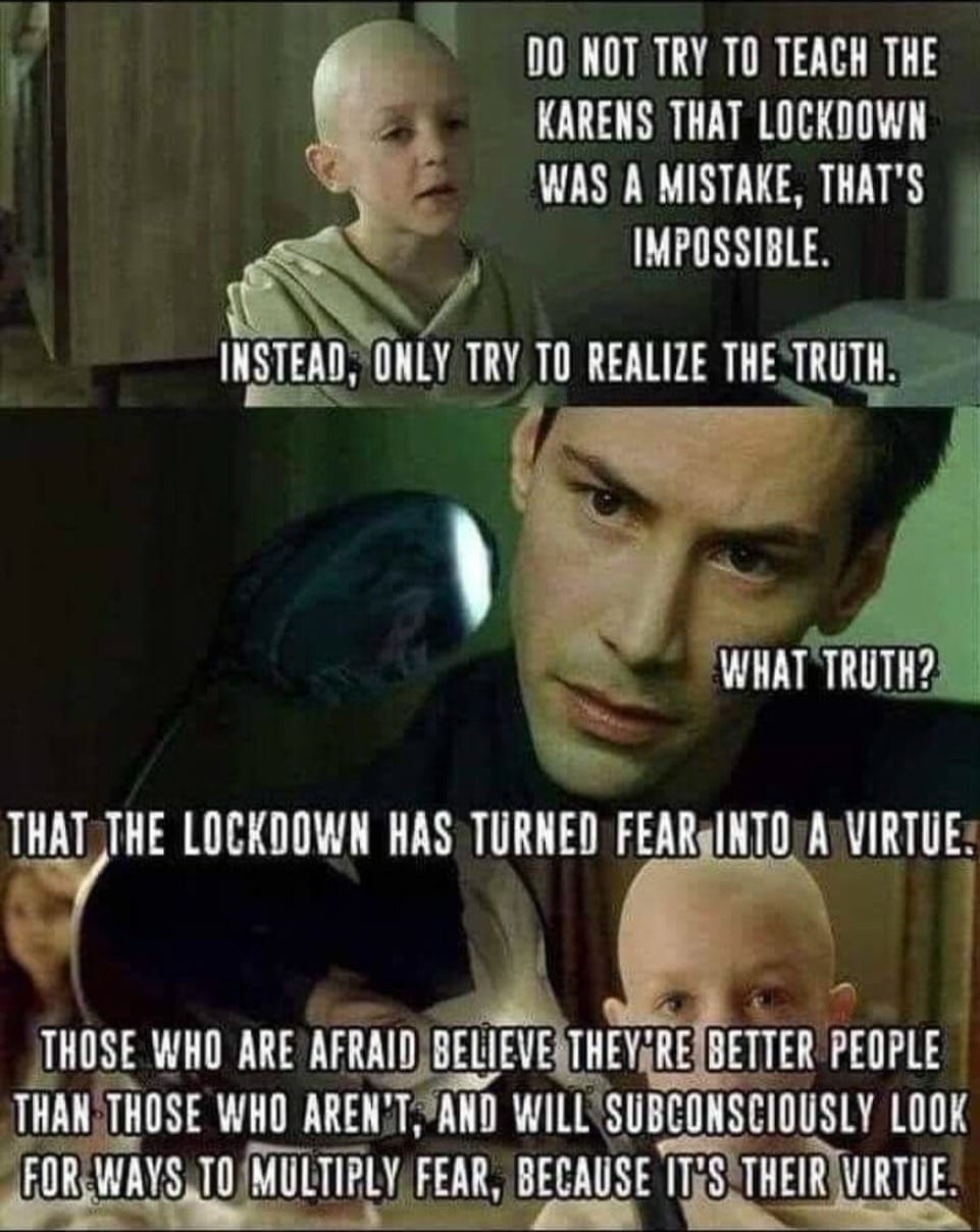 The Lockdown has Turned Fear into a Virtue
