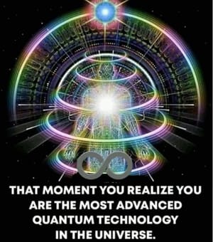 The Most Advanced Quantum Technology in the Universe
