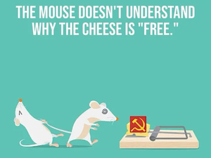 The mouse doesn’t understand why the cheese is “free”
