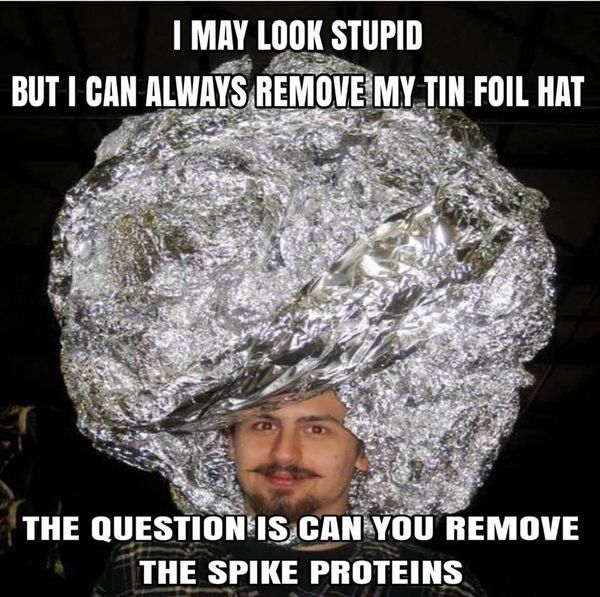 I May Look Stupid
