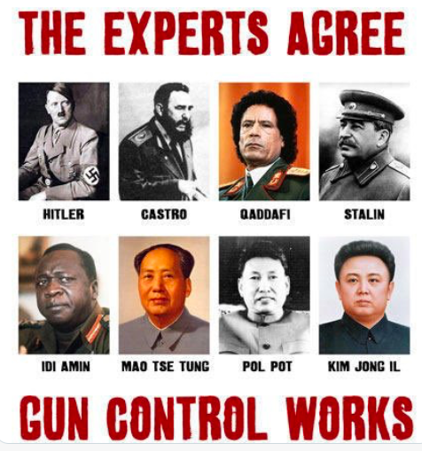 The Experts Agree: Gun Control Works