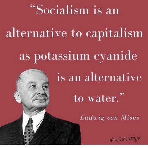 Socialism as an Alternative to Capitalism