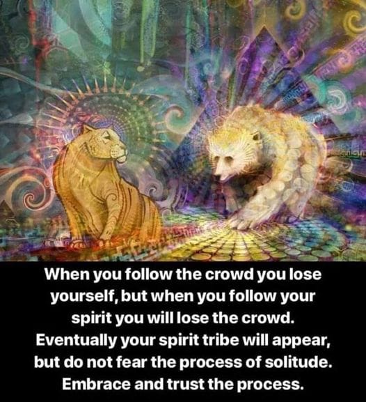 Embrace and trust the process