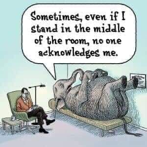 Elephant Therapy