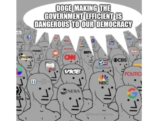 DOGE Making the Government Efficient is Dangerous to Our Democracy