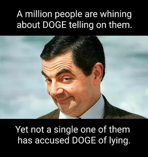 A million people are whining about DOGE telling on them…