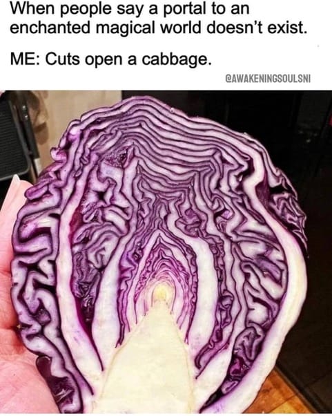 Cabbage Portal