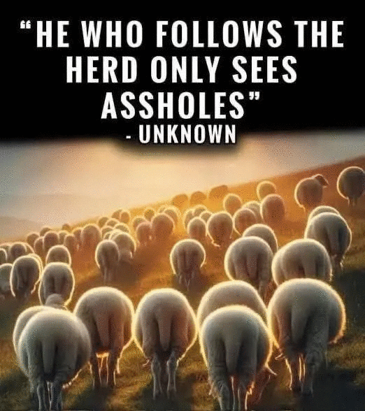 He who follows the herd …