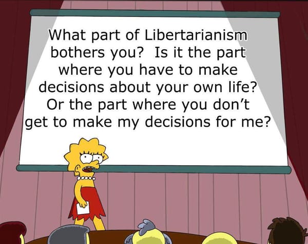 What part of Libertarianism bothers you?