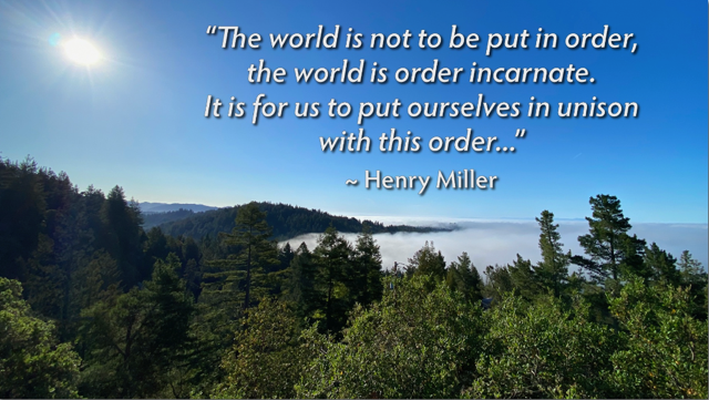 The world is not to be put in order…
