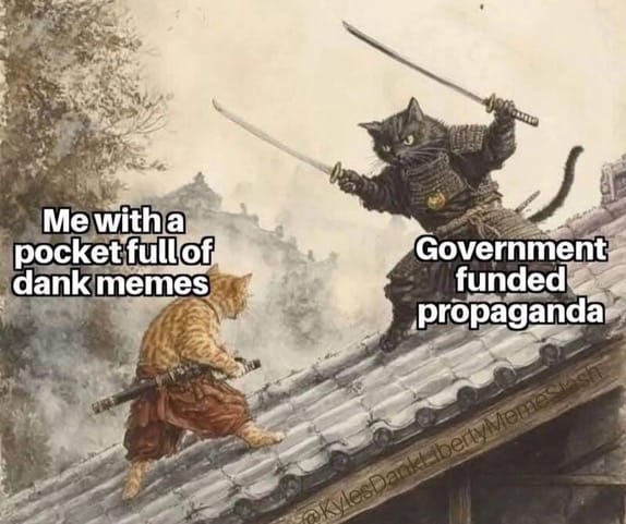 Memes vs. Propaganda