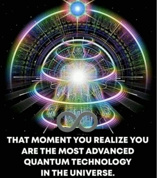 The Most Advanced Quantum Technology in the Universe