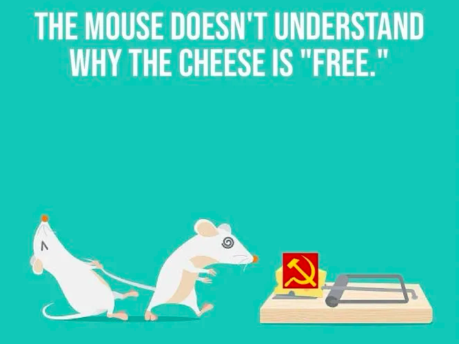 The mouse doesn’t understand why the cheese is “free”