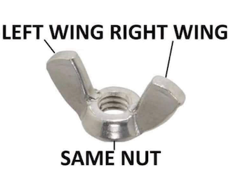 Left Wing vs. Right Wing
