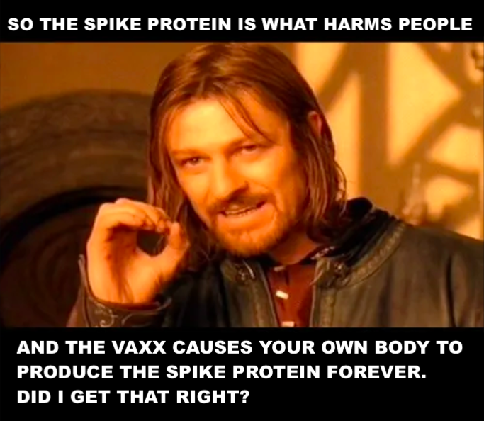 So the spike protein is what harms people
