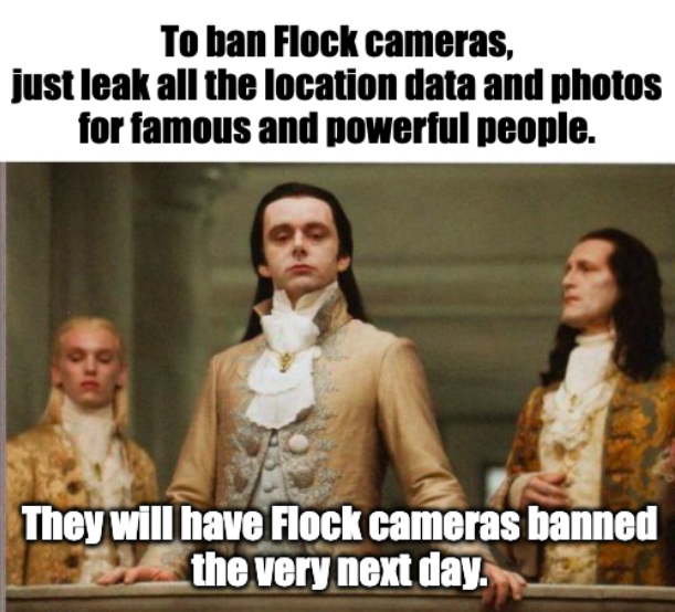 To ban Flock cameras…