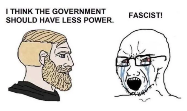 I think the government should have less power