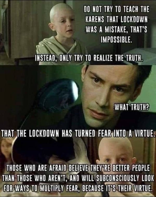 The Lockdown has Turned Fear into a Virtue