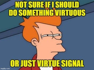 Not Sure If I Should Do Something Virtuous …
